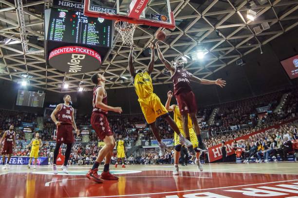 术多样化的 术多样化的