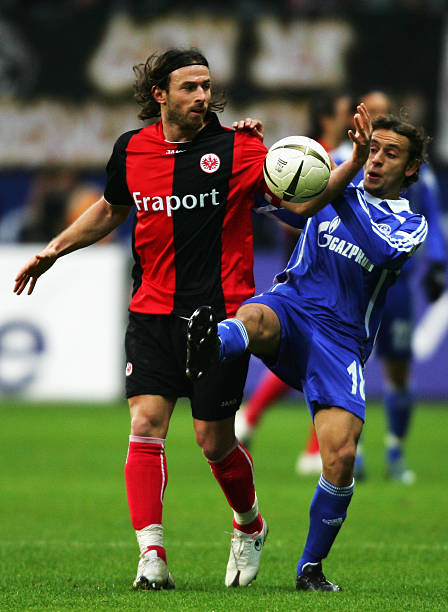 之地的决定 之地的决定